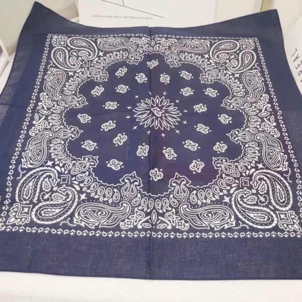 H06bc4d69e9ca4a53830525d274bd3f60l.webp Paisley Bandana Scarf