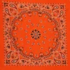 H0cbfb14a2f9d45d28822c2bc21c863775.webp Paisley Bandana Scarf