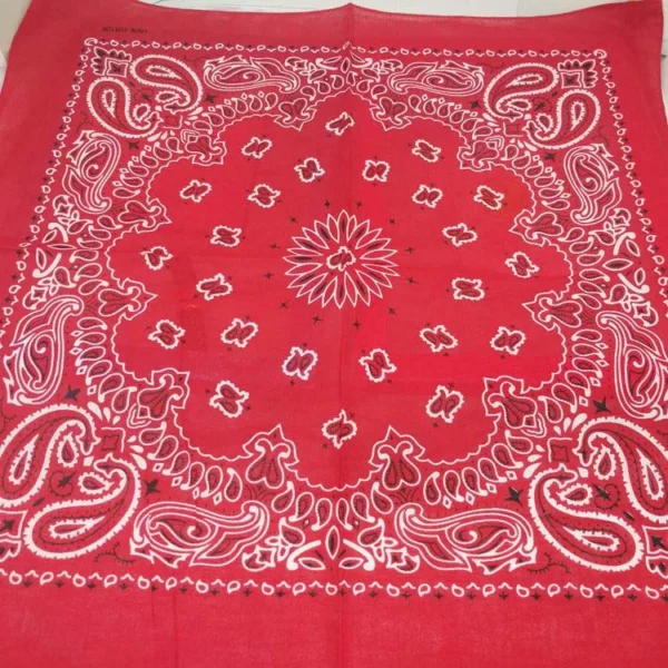 H165bf7c4698a4a2686d73daf4e2a8fbcO.webp Paisley Bandana Scarf