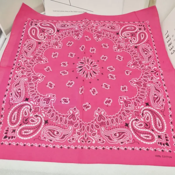 H2b94311eaabb4563bc0287a5e948568bl.webp Paisley Bandana Scarf