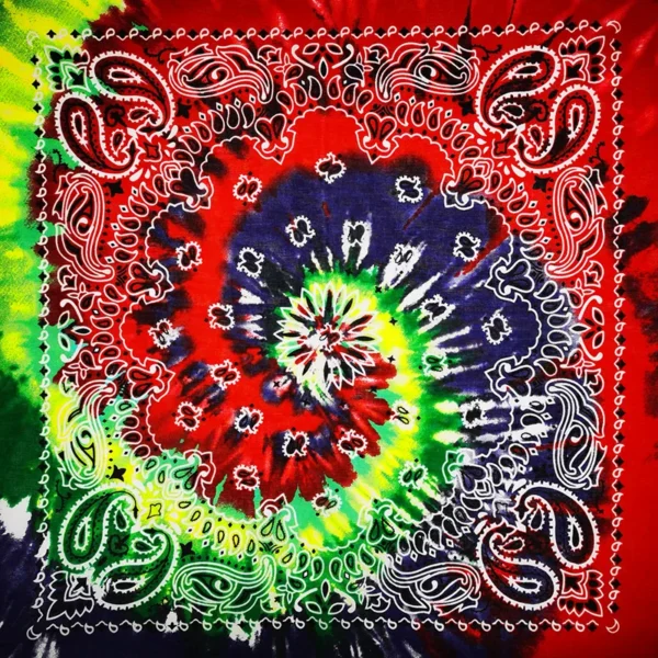 H433ec57d50cd410d997f775ebdddd840G.webp Paisley Bandana Scarf