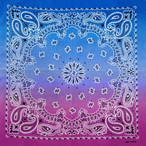 H61af744056a34b56a749d6d6db5904dcx.webp Paisley Bandana Scarf