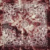 H76247d04083a4bbf9ef611b1e111c031H.webp Paisley Bandana Scarf
