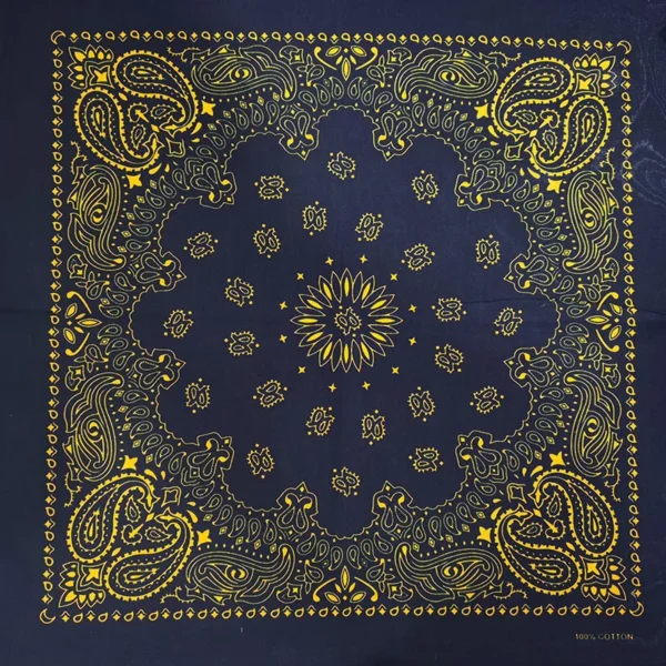 H864c32561d664053a80d16bf7ede8d7en.webp Paisley Bandana Scarf