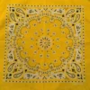 Hb6dade00530b428e80725d8bb5d82edam.webp Paisley Bandana Scarf