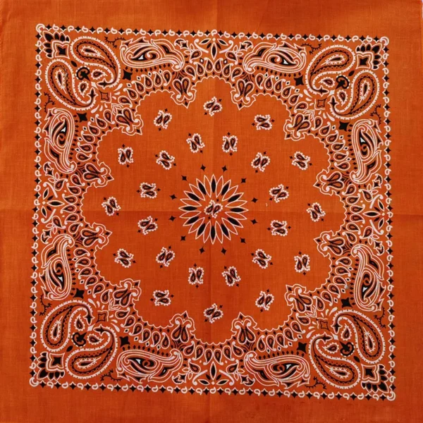 Hbca68ca8956b42f7864b0130be2ed19fS.webp Paisley Bandana Scarf