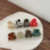 S0c583bcc3de7454aa5d6e00b50b62a02C.webp Mini Acetate Hair Claw Clips