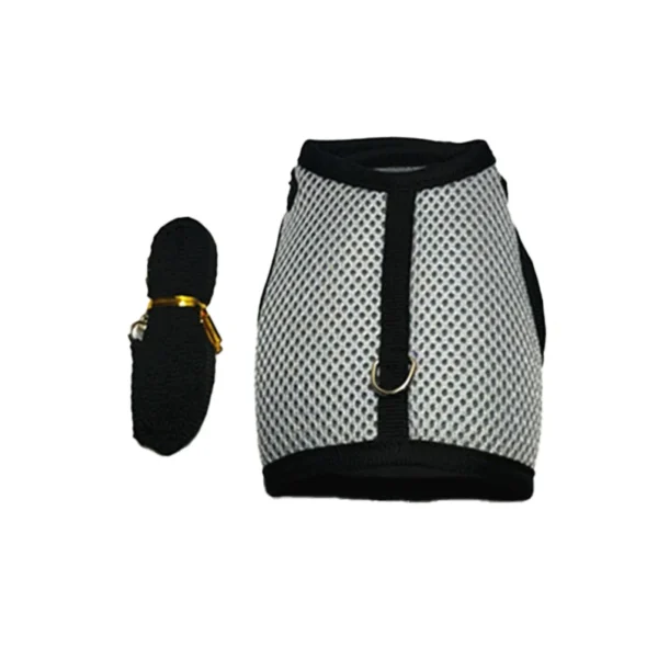 Small-Animal Mesh Harness and Leash Set