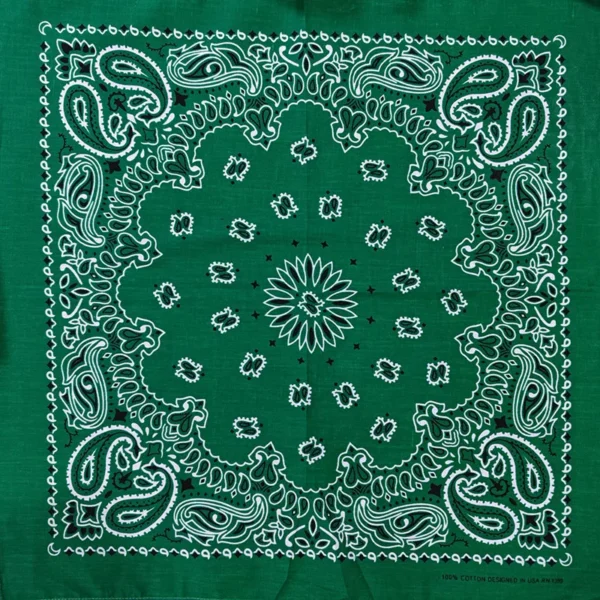 S2ae3a476528d46e0a05dc18a5c4965adH.webp Paisley Bandana Scarf