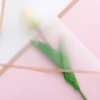 S46675d2620534df1a42065012635267cL.webp Gold-Edge Bouquet Wrapping Paper