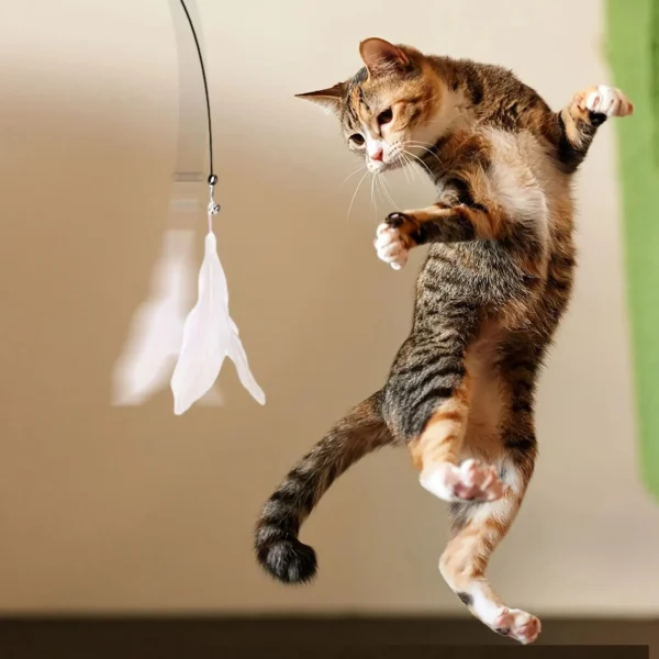 S654cda2cf393454a96642036ec292a4aL.webp Suction-Cup Cat Teaser Wand