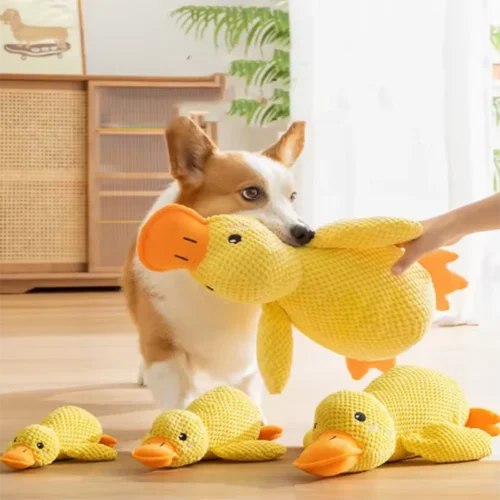 Plush Duck Dog Toy