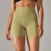 S75e95ec96f144b6a84571a8fabc9c813B.webp Women's High-Waist Workout Shorts