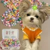 S8eb2b32a490b49c4a2f2f87cb6b0a325O.webp Pet Bow and Hair Accessory Set - Assorted Styles