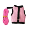 Small-Animal Mesh Harness and Leash Set