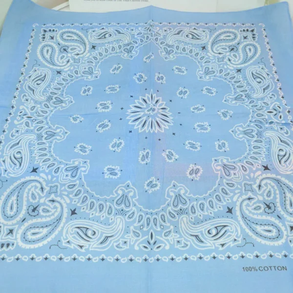S920447ab23394ba1a4a3275370e5b1d3C.webp Paisley Bandana Scarf