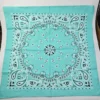 S9bb2e9882a7f486582aa9fc03c027cd0x.webp Paisley Bandana Scarf
