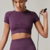 S9f6628c67bea4ace8655fd9107375c4aB.webp Women's Seamless Short-Sleeve Workout Top