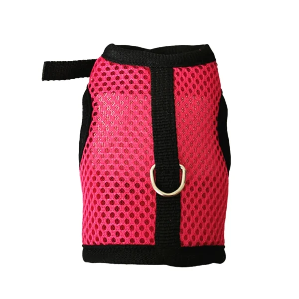 Small-Animal Mesh Harness and Leash Set