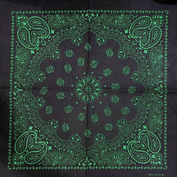 Sb7b6041de9f94e9bbb19b7bc67f40d29E.webp Paisley Bandana Scarf