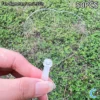 Blank Mini Fans for DIY Decorating
