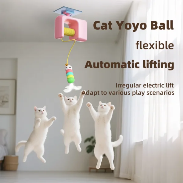 Sdbcb22ea5f4a4ffcab2461a6301bd8cam.webp Hanging Interactive Bird Cat Toy