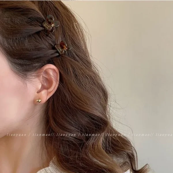 Secbc261f2e7246d084746de0b65087b3o.webp Mini Acetate Hair Claw Clips