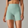 Sfc0ff168d09c4abea771a672a59d4fa5W.webp Women's High-Waist Workout Shorts