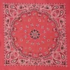 Sfd7a4fe7f21b47b18ba8cd88e8fb4391P.webp Paisley Bandana Scarf